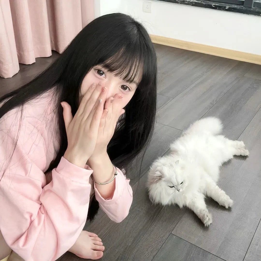 毒舌大状
